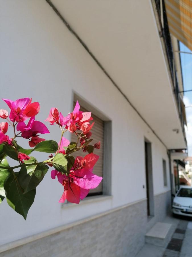 Bouganville Da Gio Скалеа Екстер'єр фото